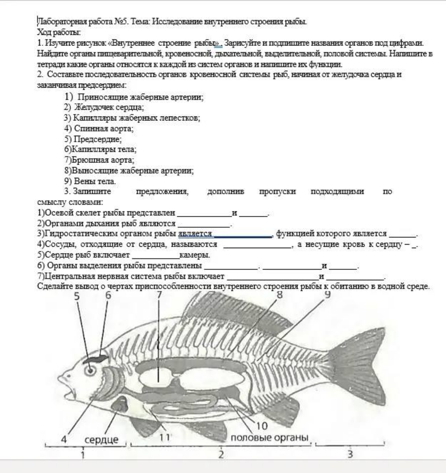 Изображение задачи: 