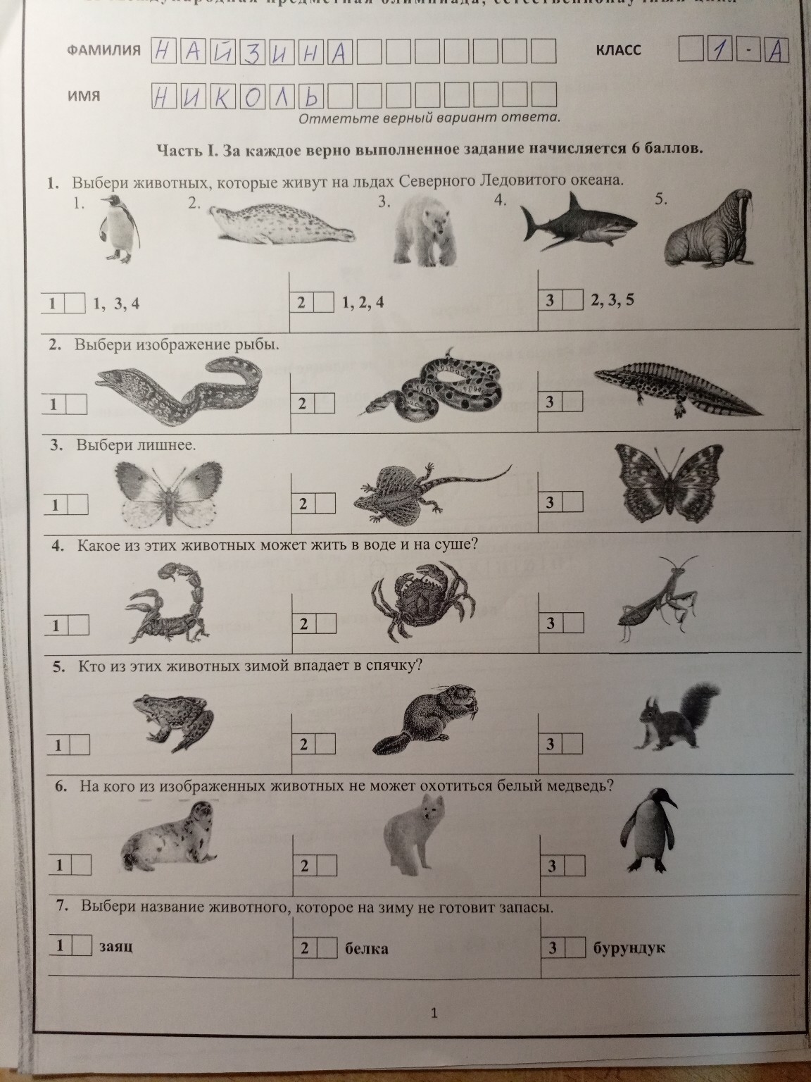 Изображение задачи: 