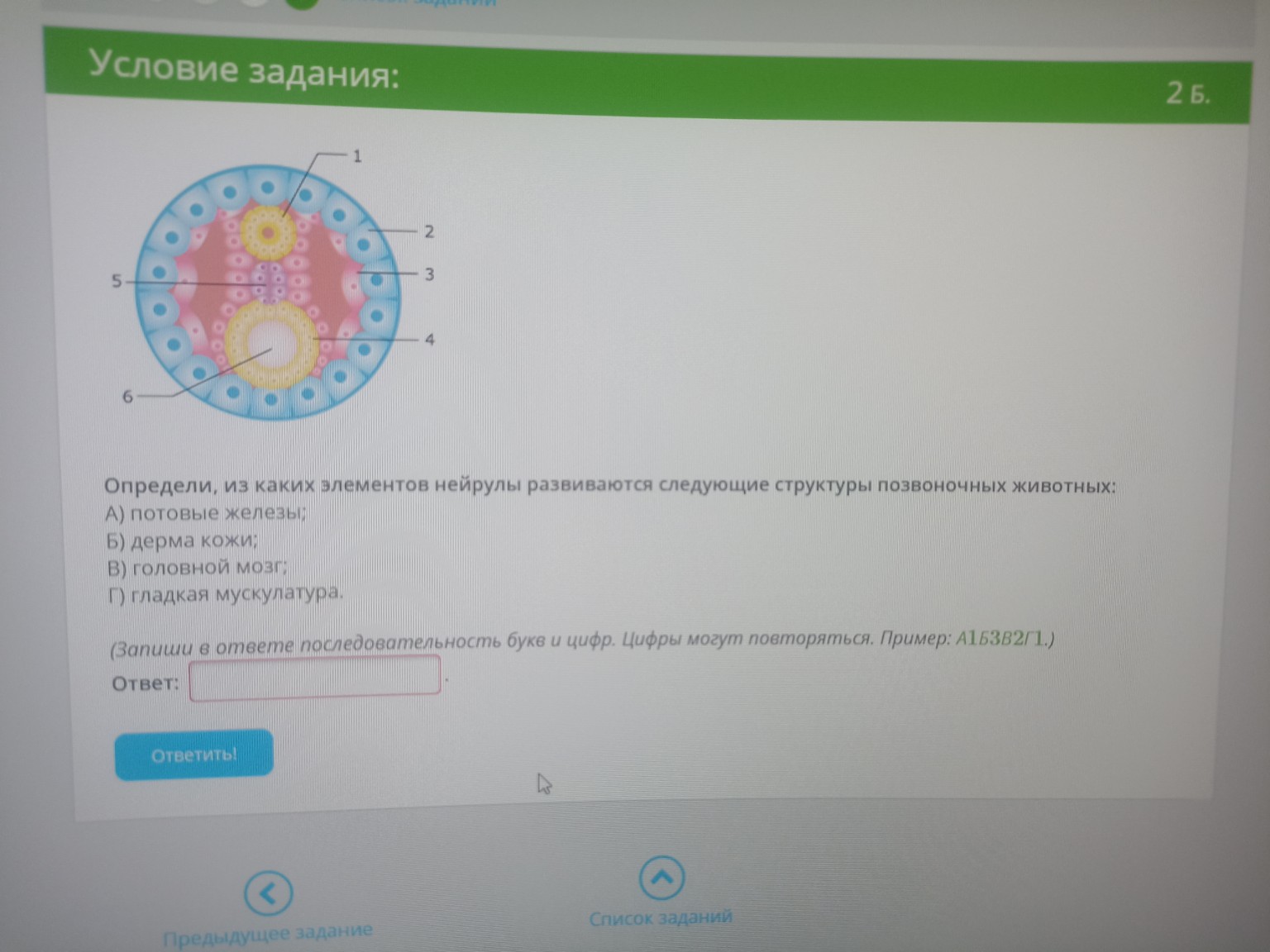 Изображение задачи: 