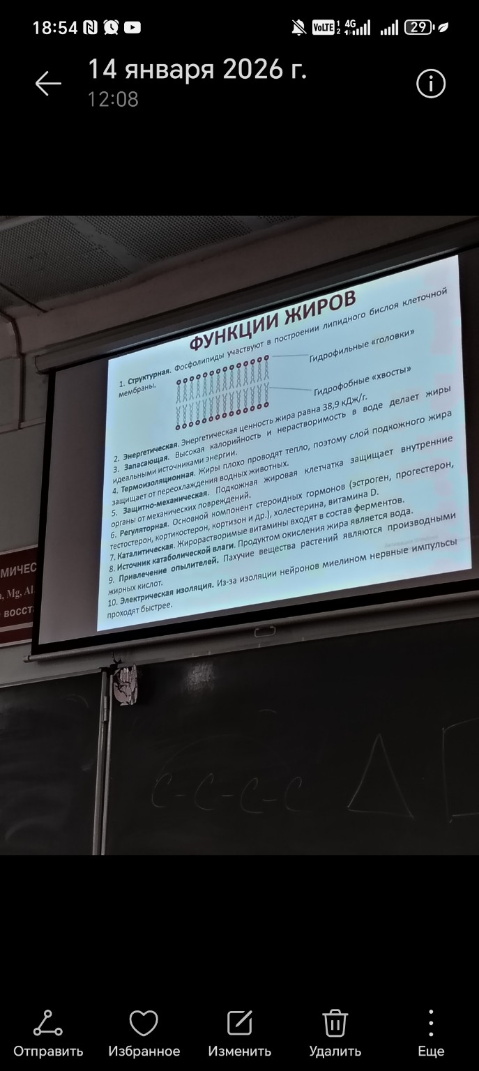 Изображение задачи: Напиши текст