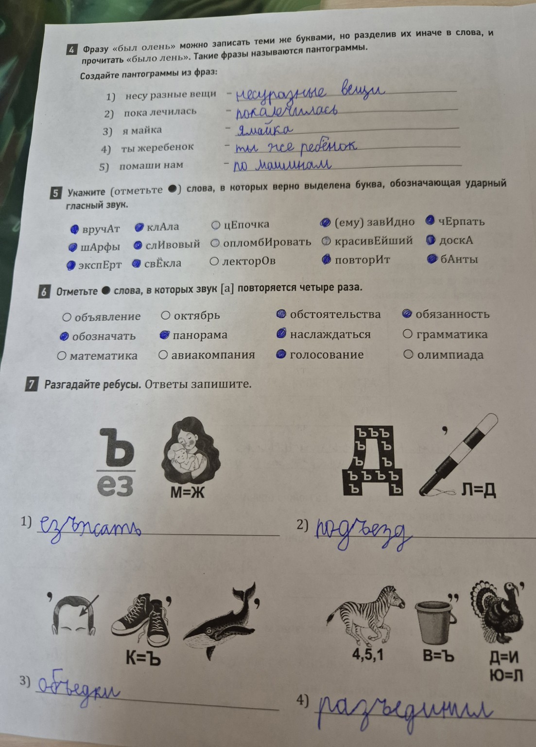 Изображение задачи: Проверьте