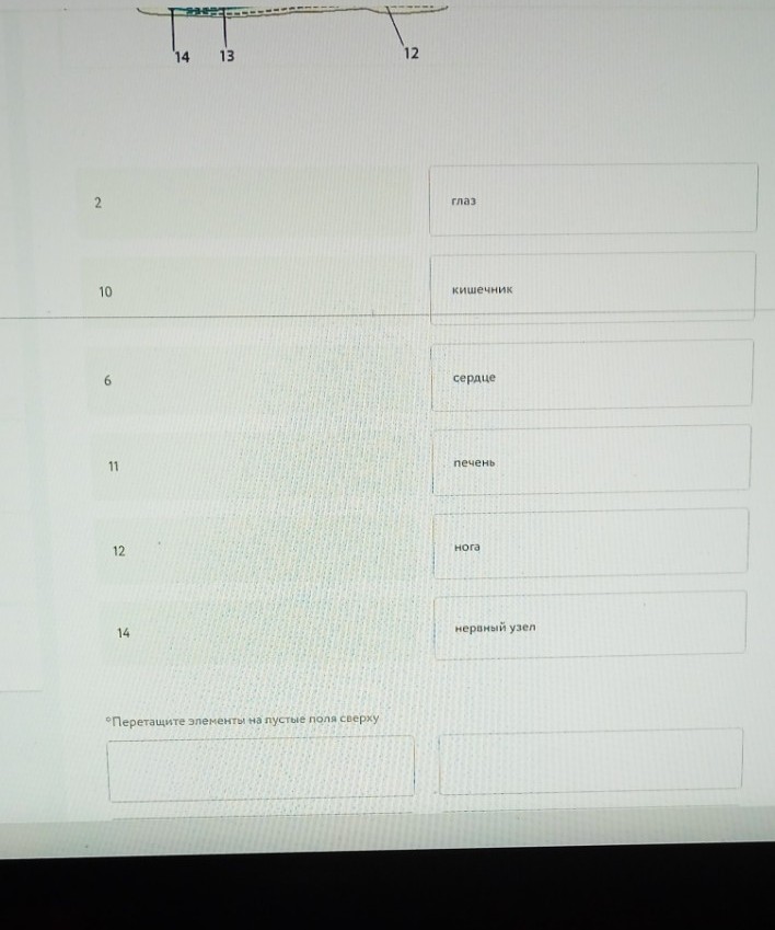 Изображение задачи: Реши задачу: Мне нужно определить. Что находится п