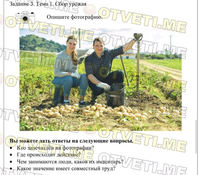 Изображение задачи: Реши задания кратко и понятными словами для устног