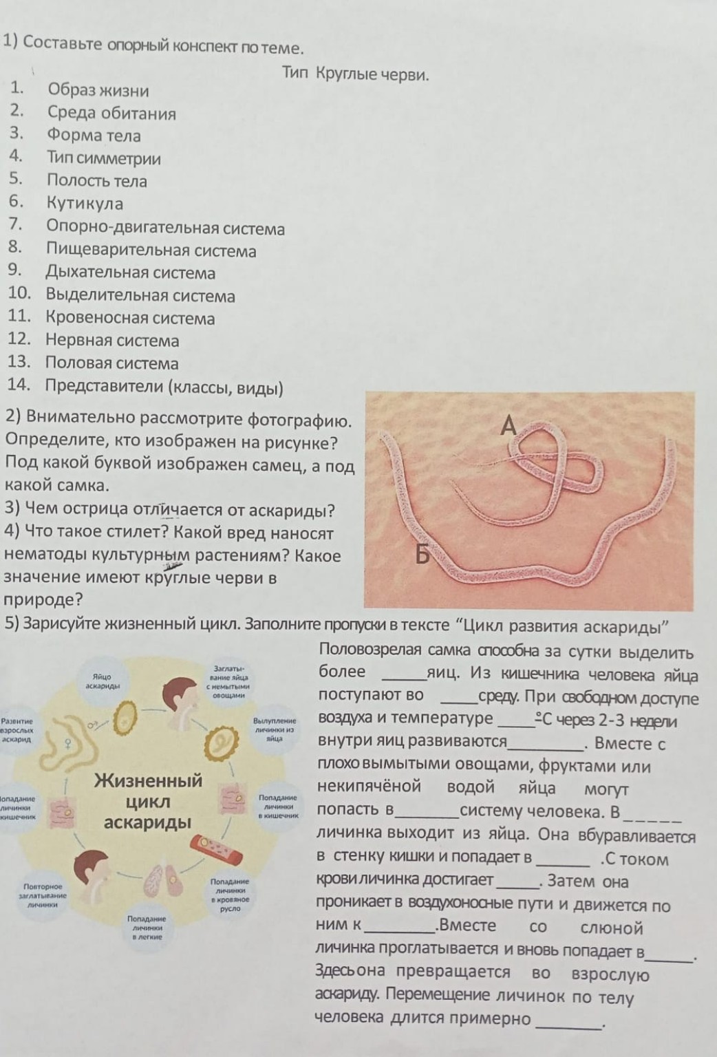 Изображение задачи: Кратко  Кратче  Короче