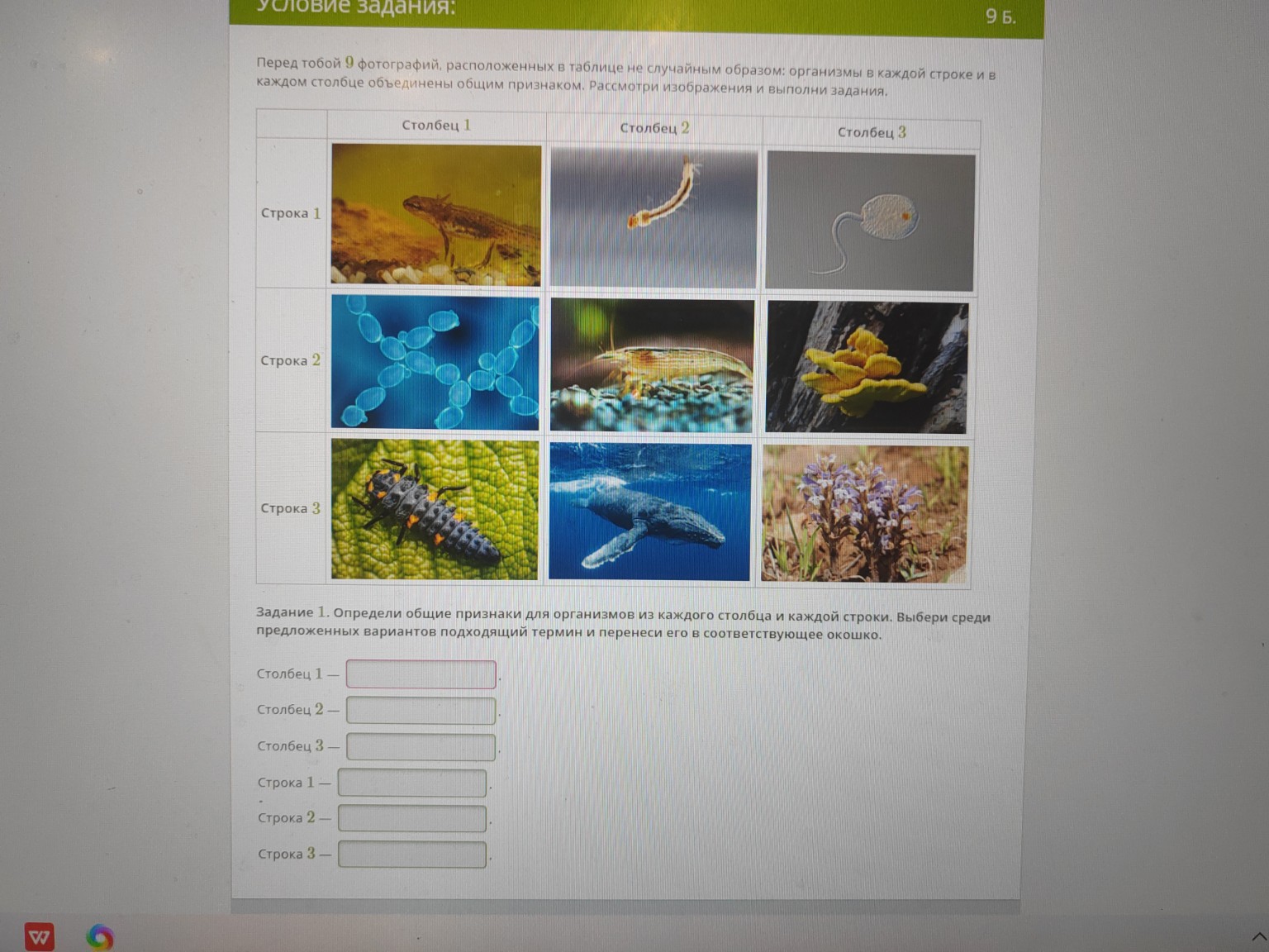 Изображение задачи: 