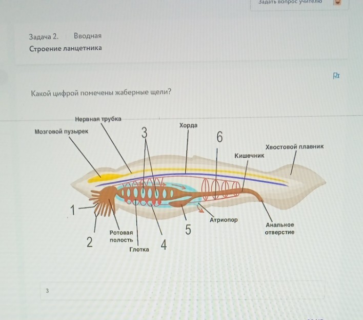 Изображение задачи: Решить с 1 во второй вот это 1 задание. Но оно сде