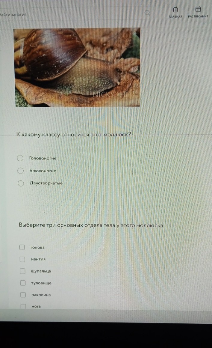 Изображение задачи: Реши задачу: Решить с первой по шестую фотографию.