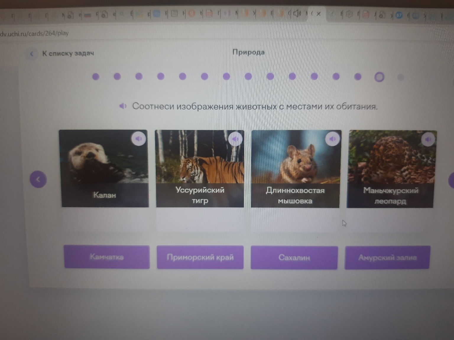 Изображение задачи: Какие деревья растут на лальнем востоке