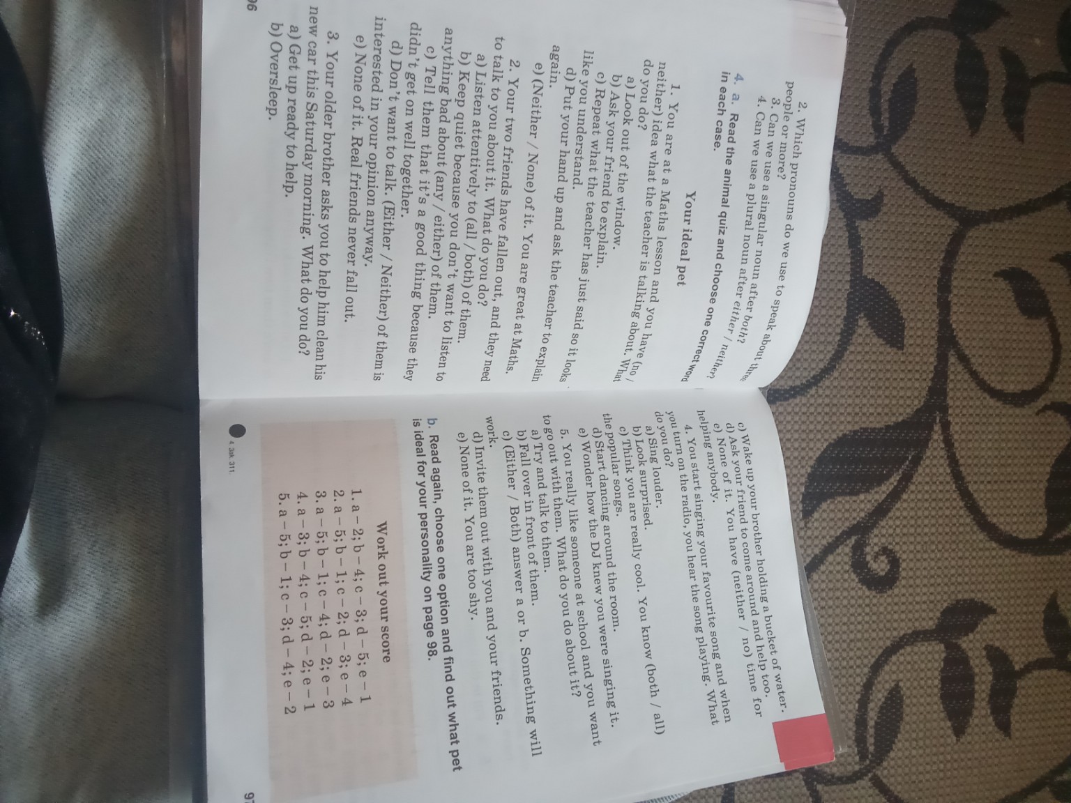 Изображение задачи: Пиши мне упражнение из 4A, твой идеальный питомец.