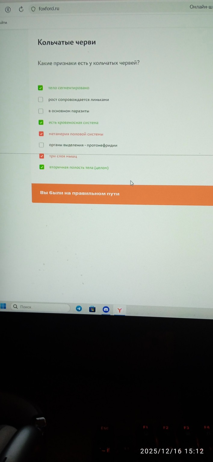 Изображение задачи: Реши задачу: Тут все точно правильно. Они слишком 