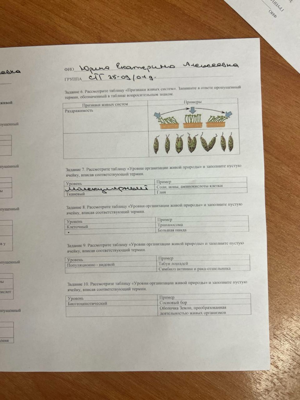 Изображение задачи: 