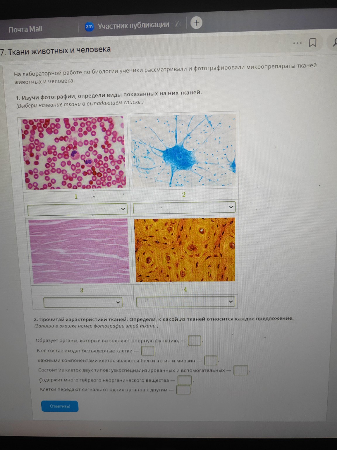 Изображение задачи: