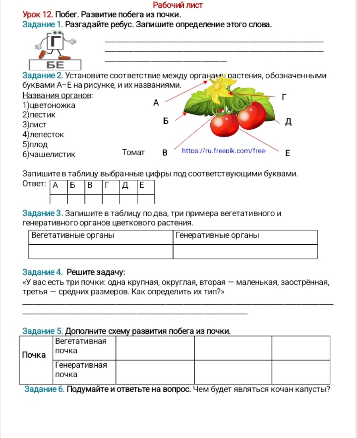 Изображение задачи: Реши задачу: Правильные ответы