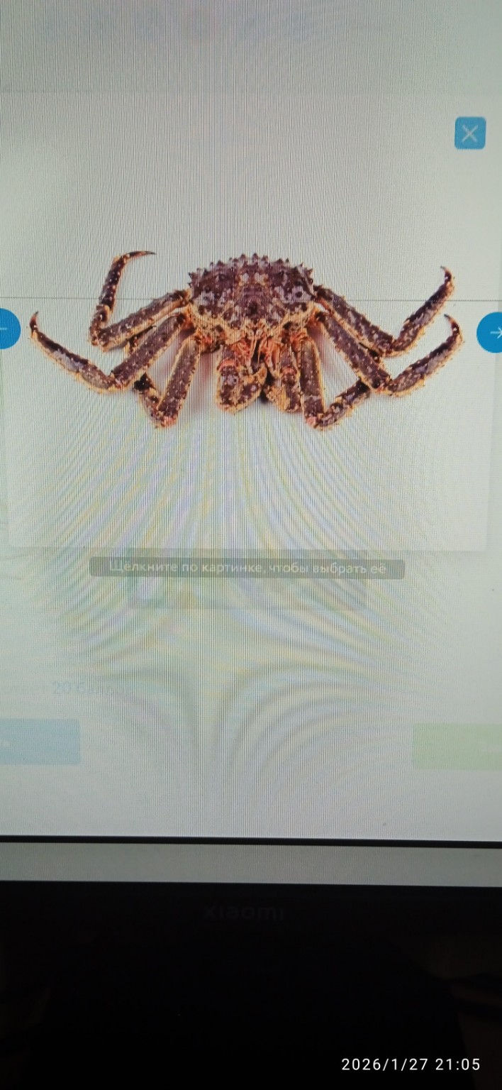 Изображение задачи: Решить с первой по шестую фотографию. Реши задачу: