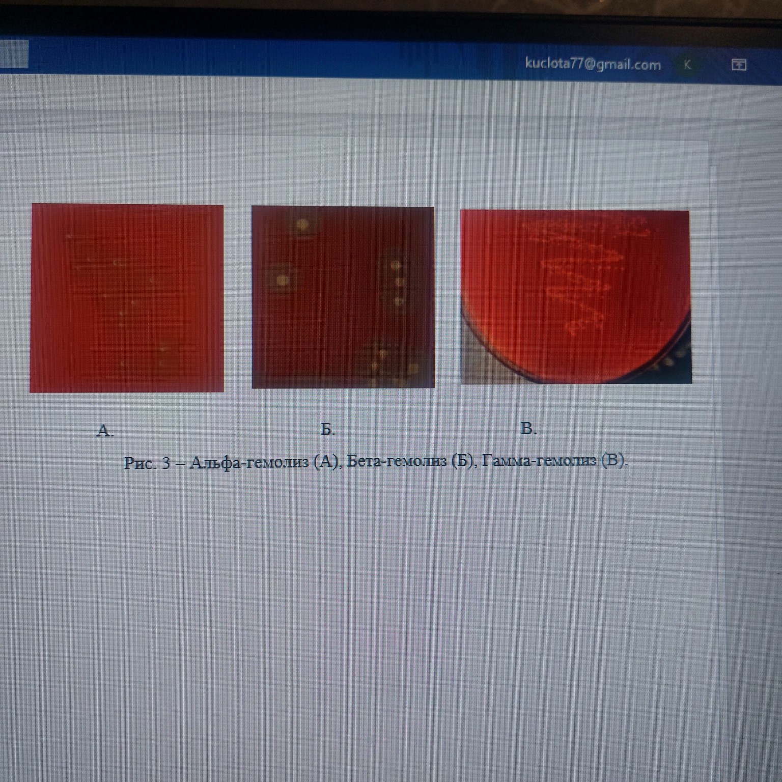 Изображение задачи: Все правильно?