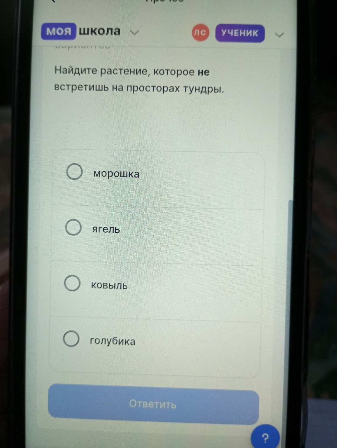 Изображение задачи: 