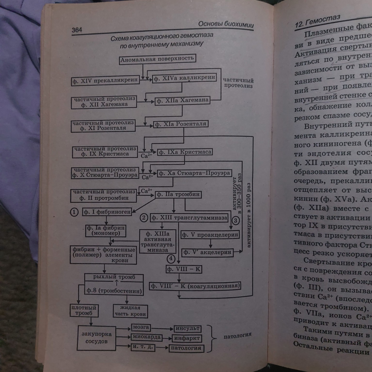 Изображение задачи: Почему При повреждении сосуда фактор IX под воздей