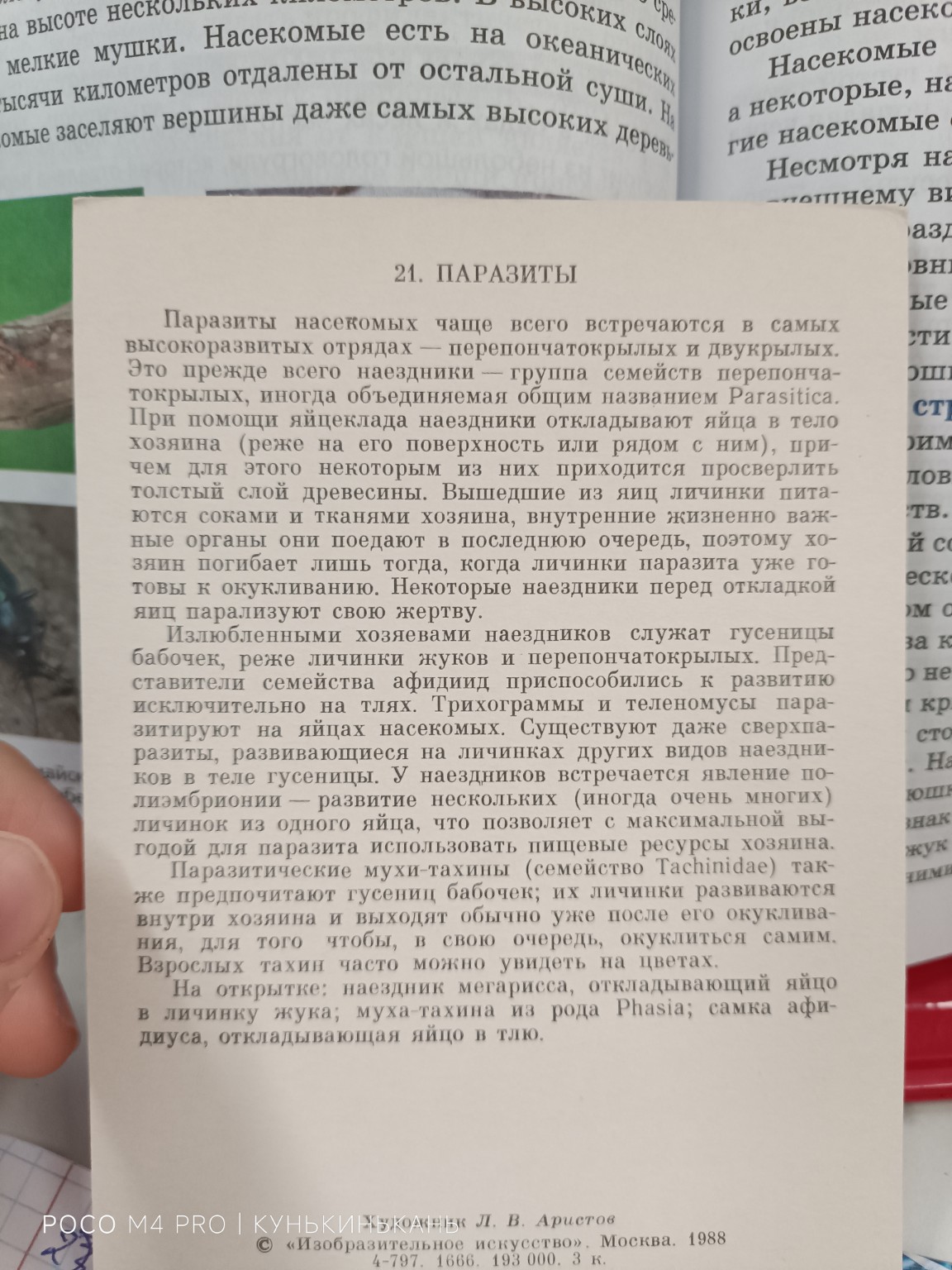Изображение задачи: Реши задачу: Выпиши главные слова