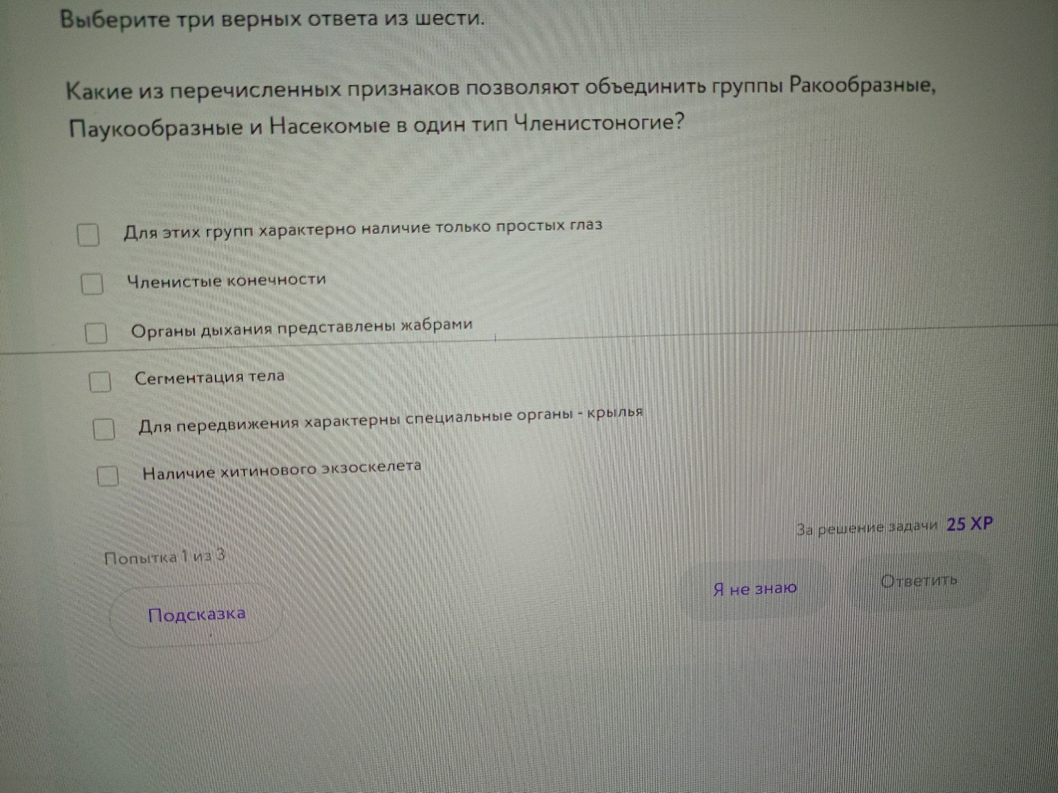 Изображение задачи: где крылья неверно