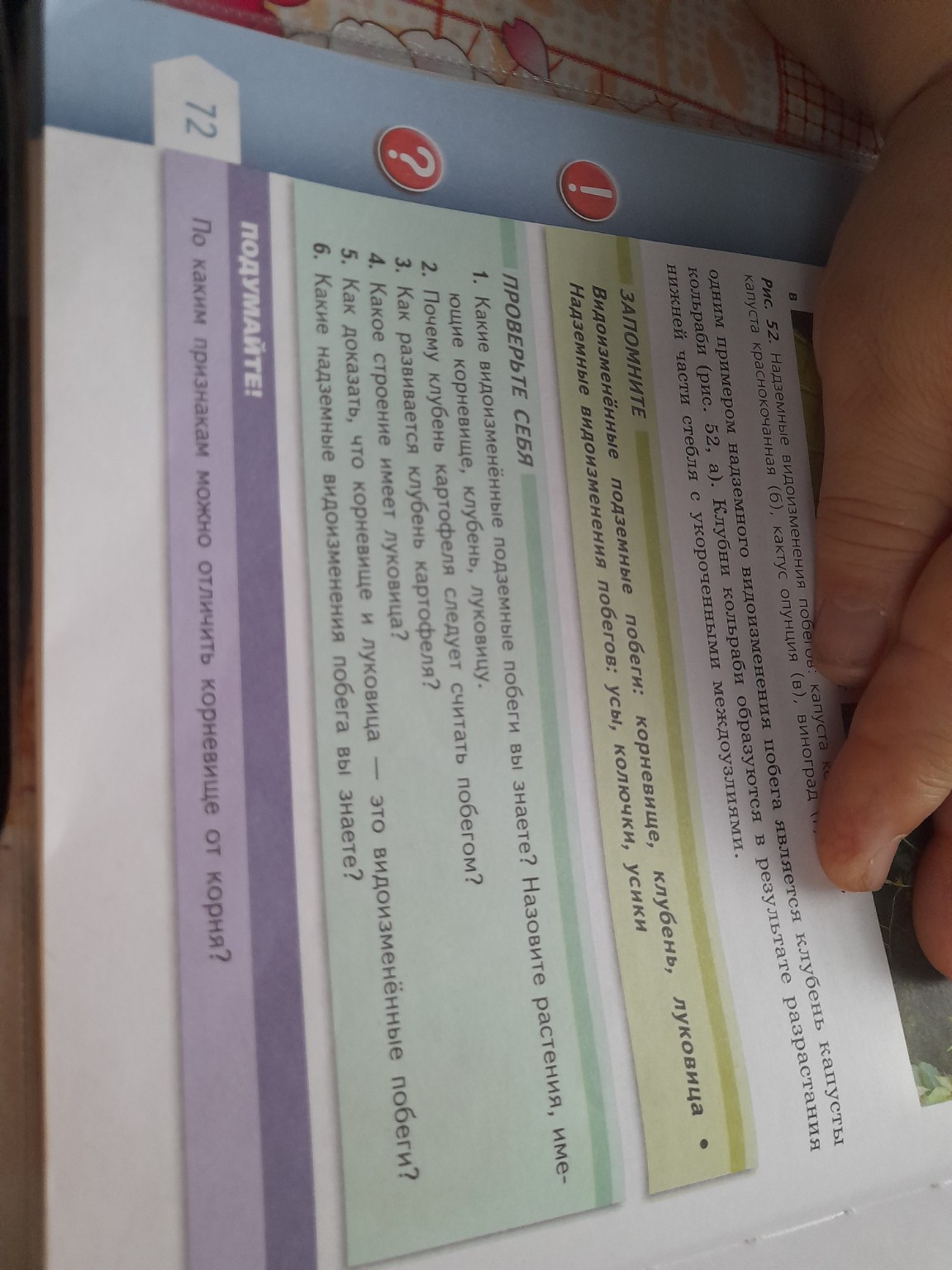 Изображение задачи: Проверь себя