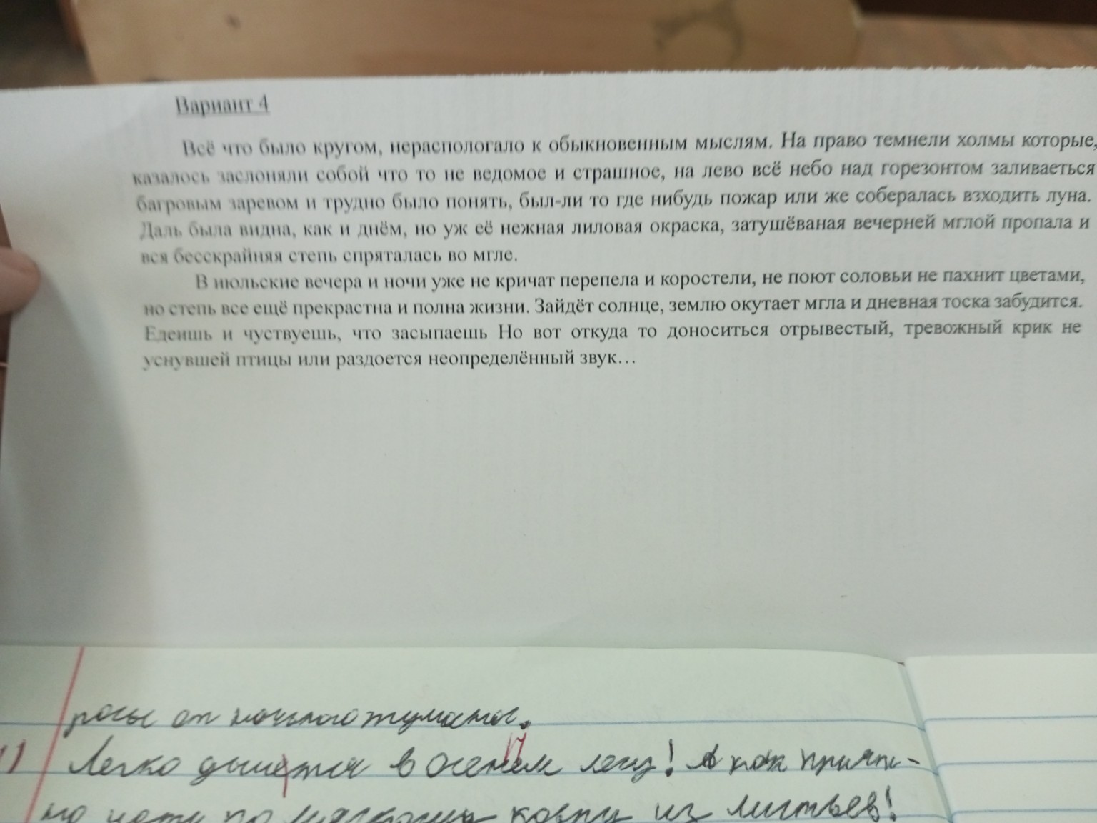 Изображение задачи: Исправь пунктоционые ошибки