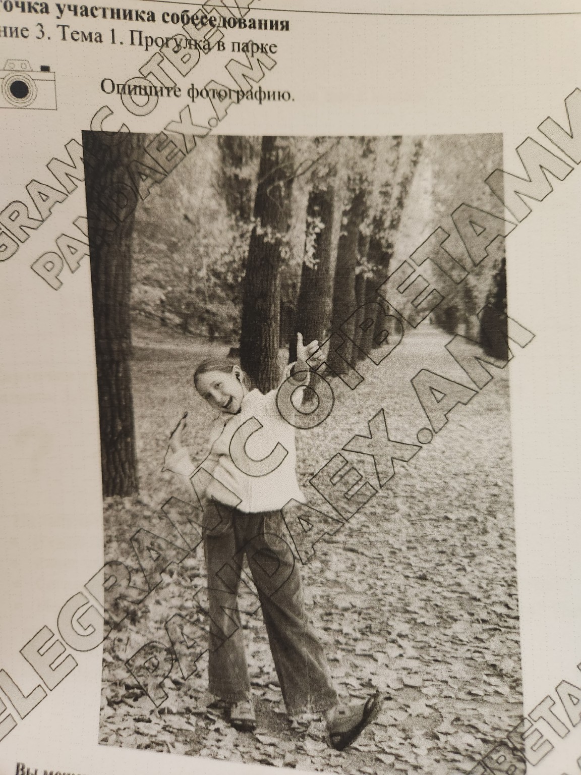 Изображение задачи: 