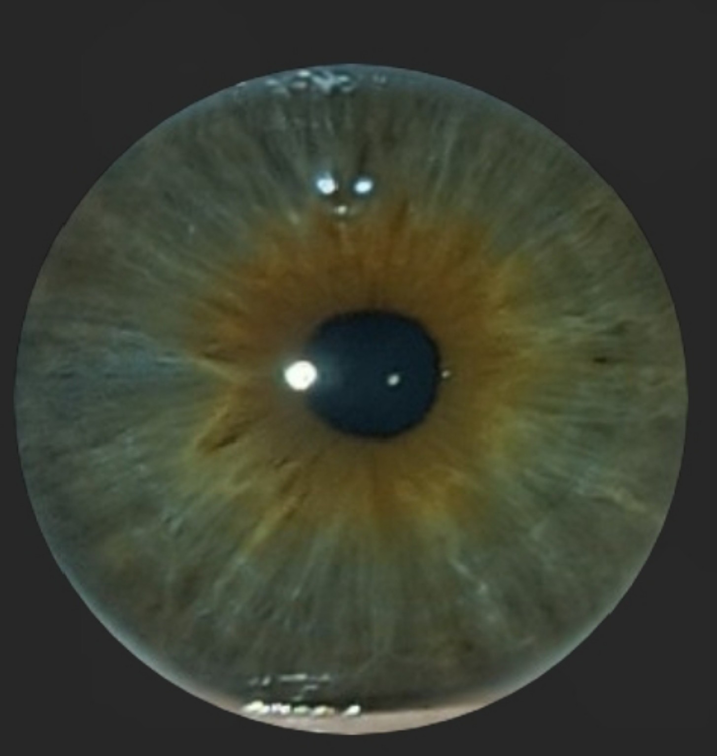 Изображение задачи: Проанализируй изображения и скажи как называется э