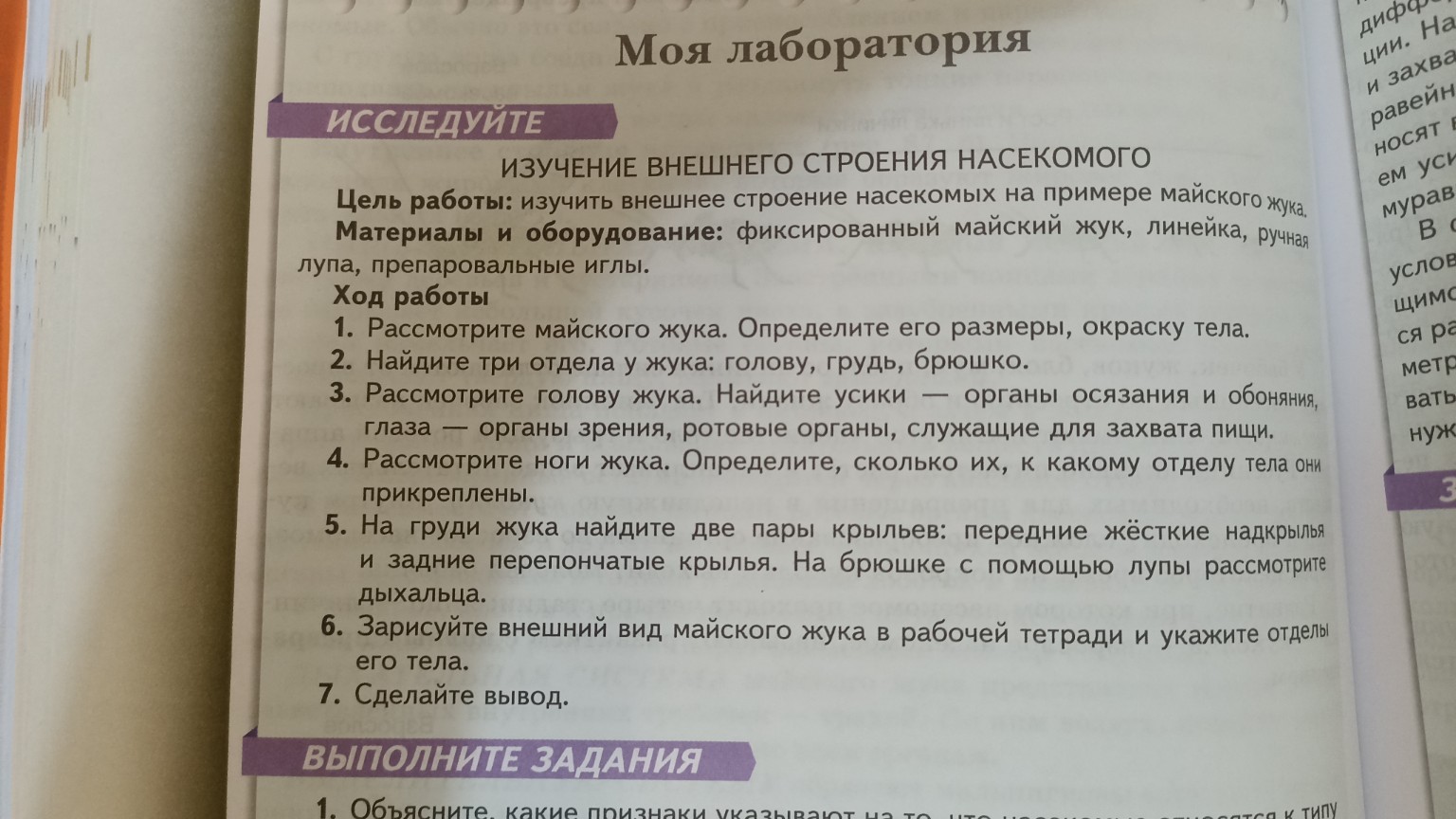 Изображение задачи: Вопросы 1-7, и можешь максимально кратко