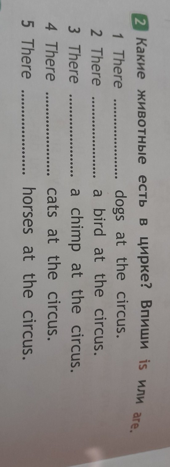 Изображение задачи: Какие животные есть в цирке? Впиши is или are