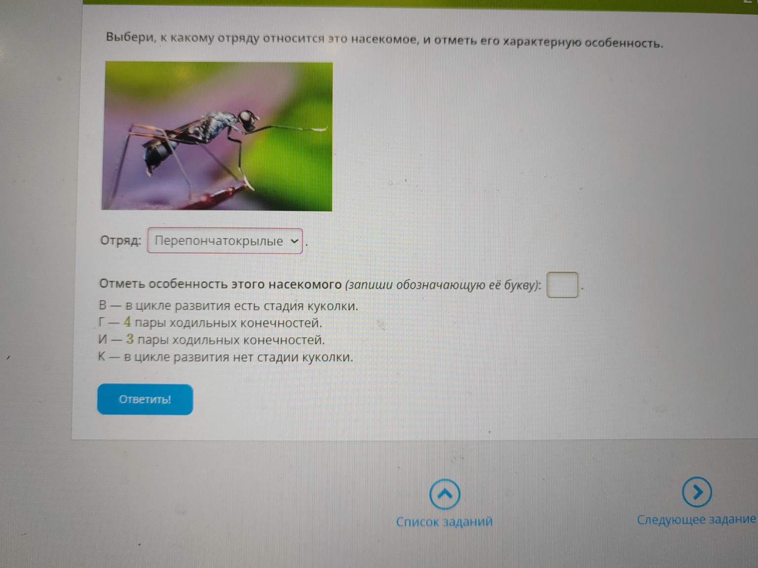 Изображение задачи: 