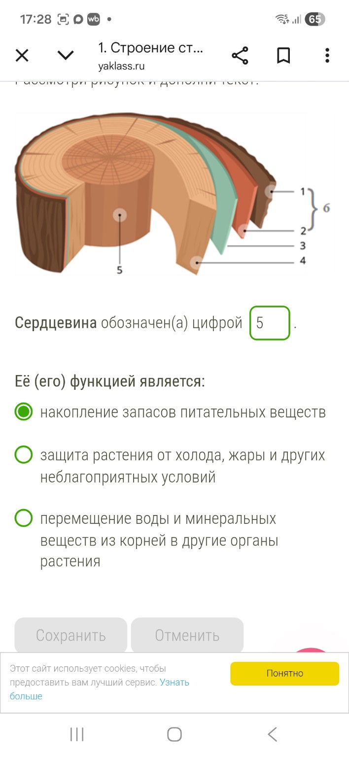 Изображение задачи: Написать по порядку ответы
