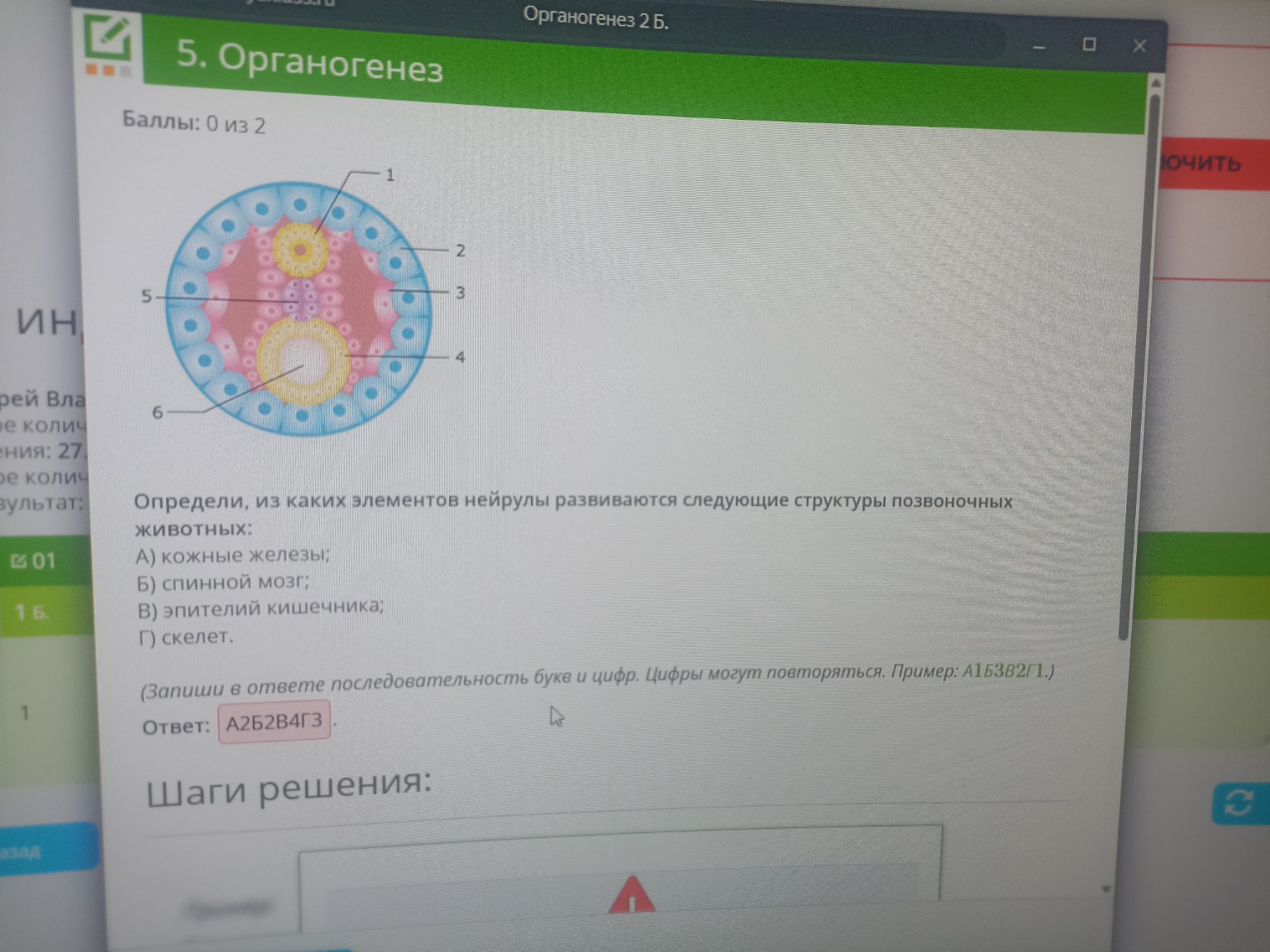 Изображение задачи: 