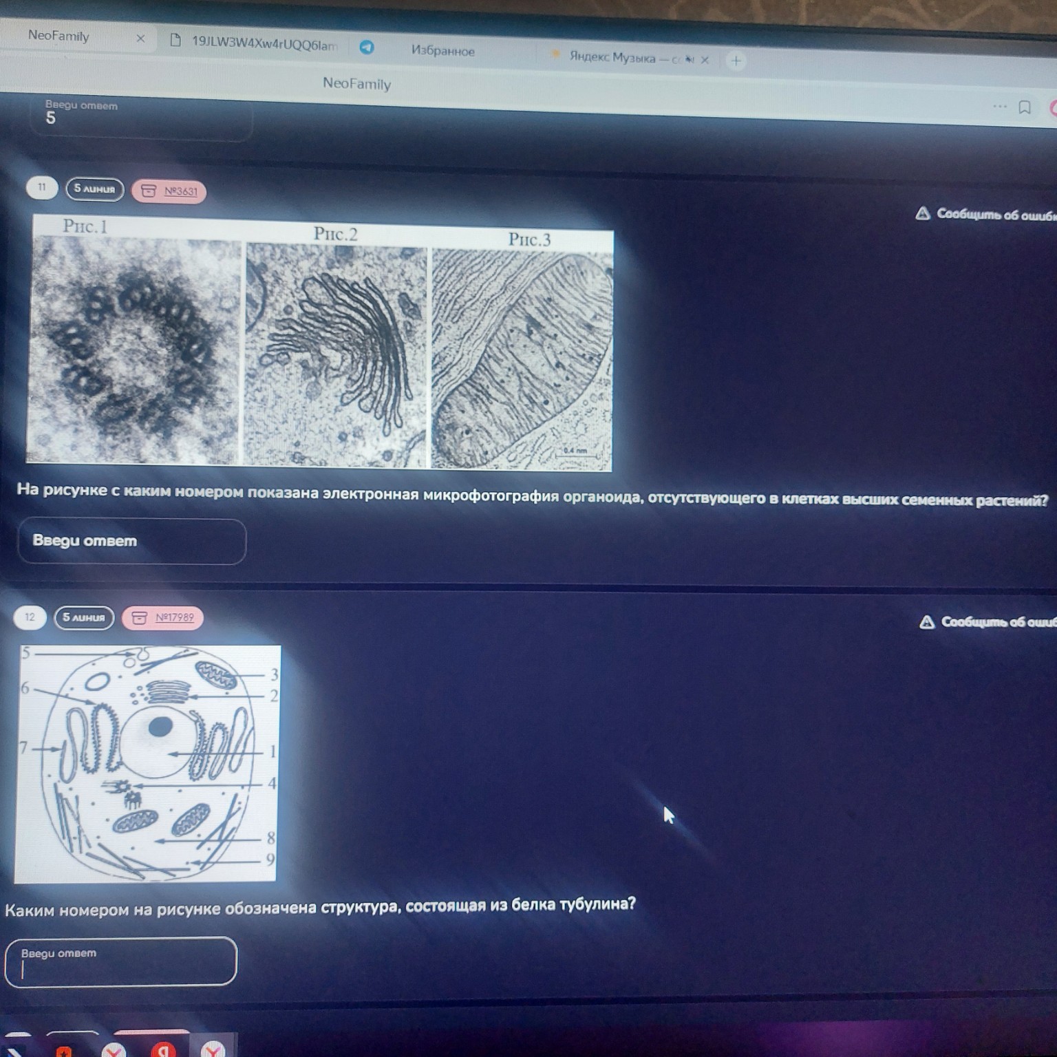 Изображение задачи: