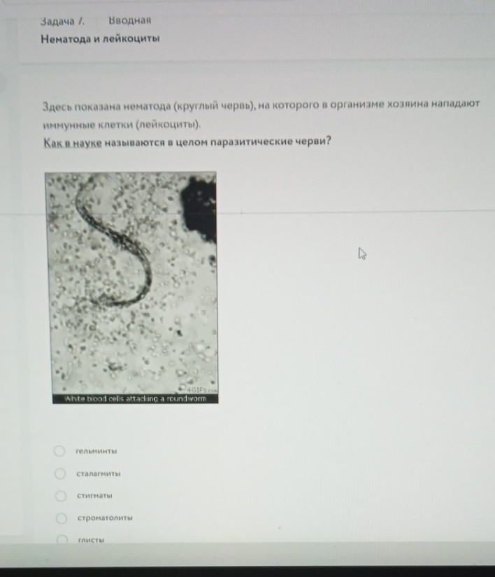 Изображение задачи: Решить с первого по пятой фотографии. Решить с 1