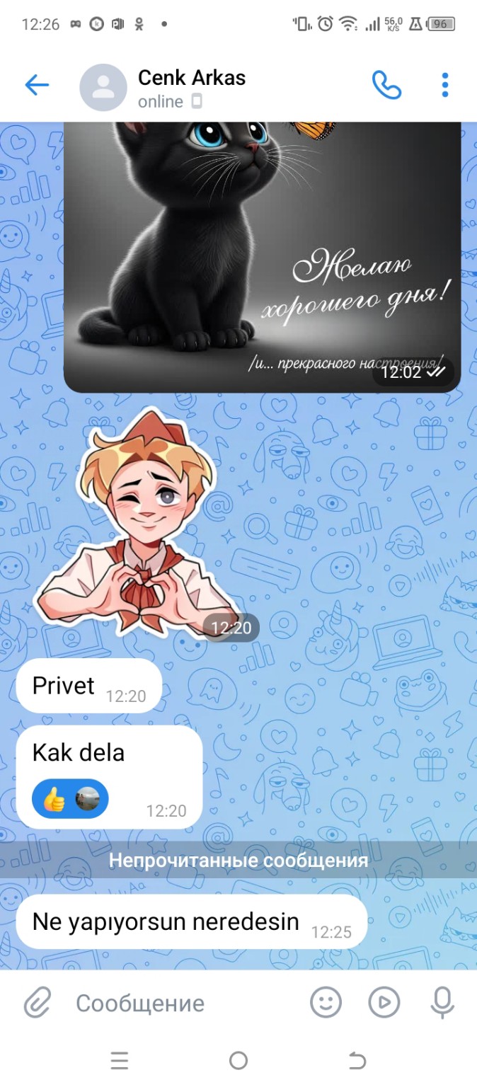 Изображение задачи: Перевод с турецкого на русский