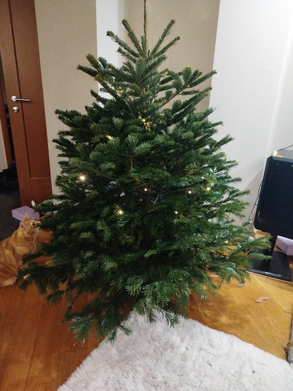 Изображение задачи: Реши задачу: Мне кажется или эти два дерева иденти