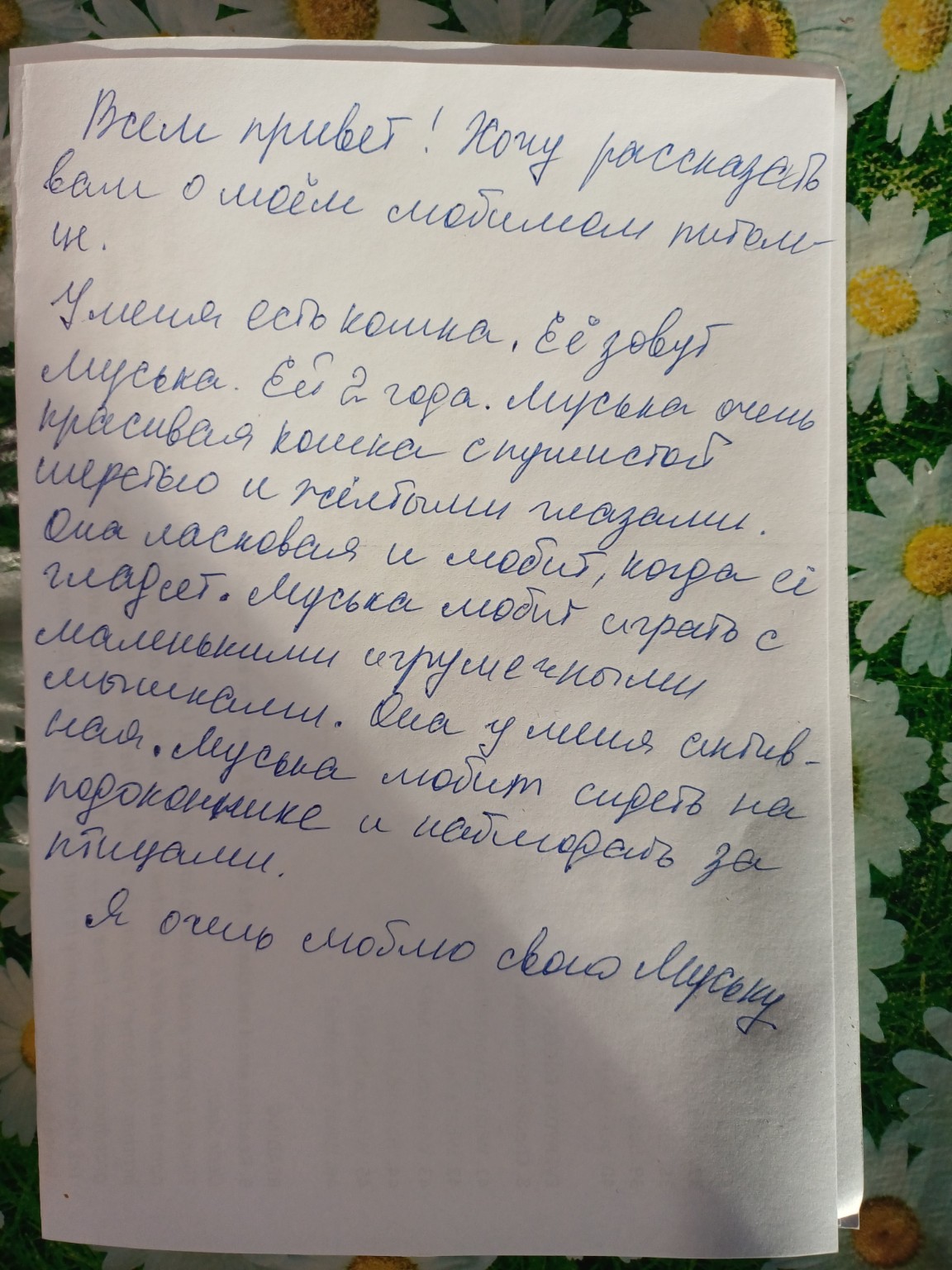 Изображение задачи: Реши задачу: Английский 5 класс Реши задачу: Перев