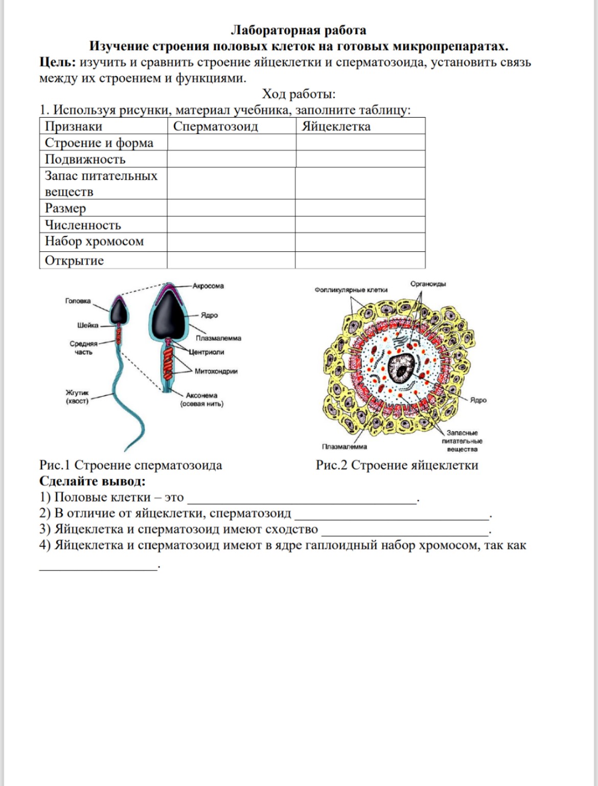 Изображение задачи: Напиши таблицу из фотографии и сделай вывод,то ест