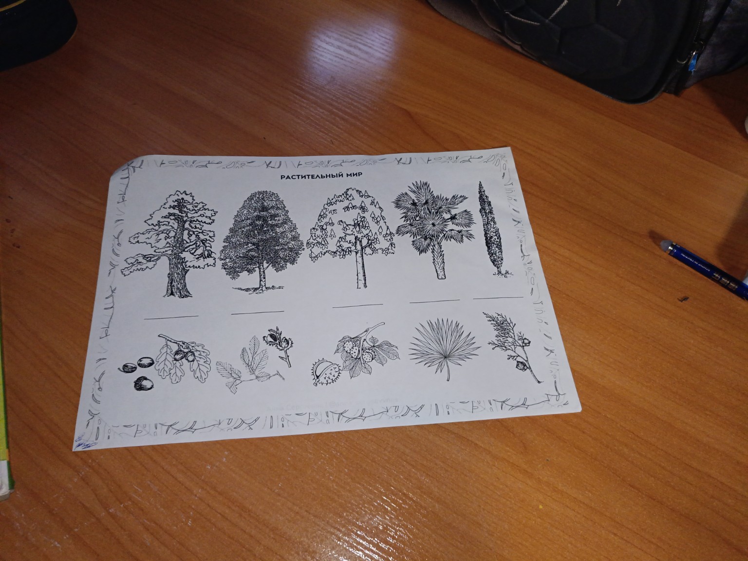 Изображение задачи: Реши задачу: Напиши название деревьев