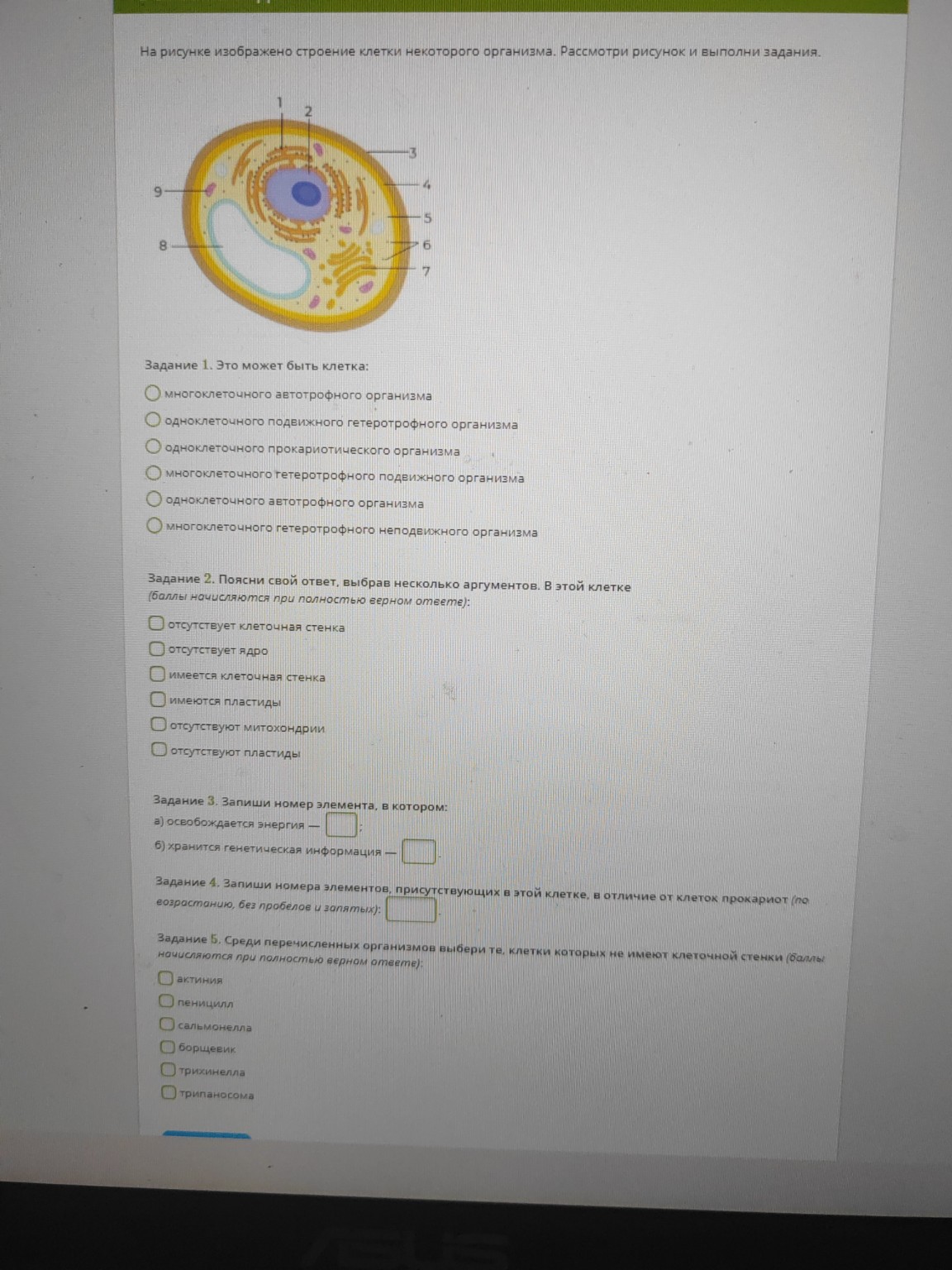 Изображение задачи: