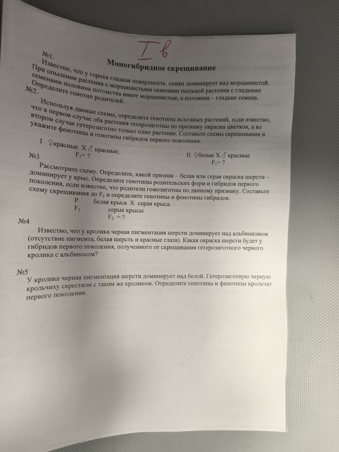Изображение задачи: 10 класс биология реши 5 задач с дано и решением у