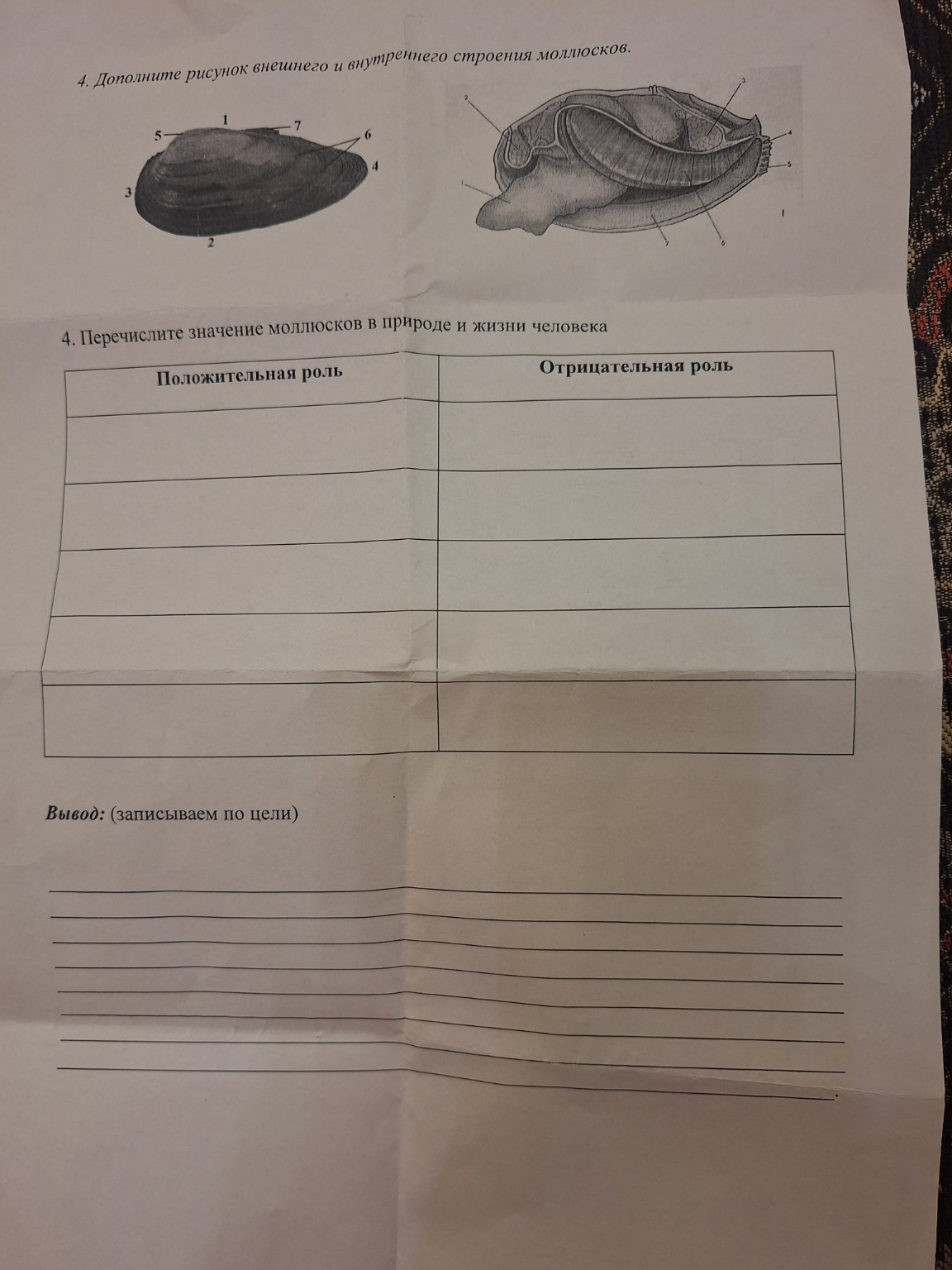 Изображение задачи: Выполни задания