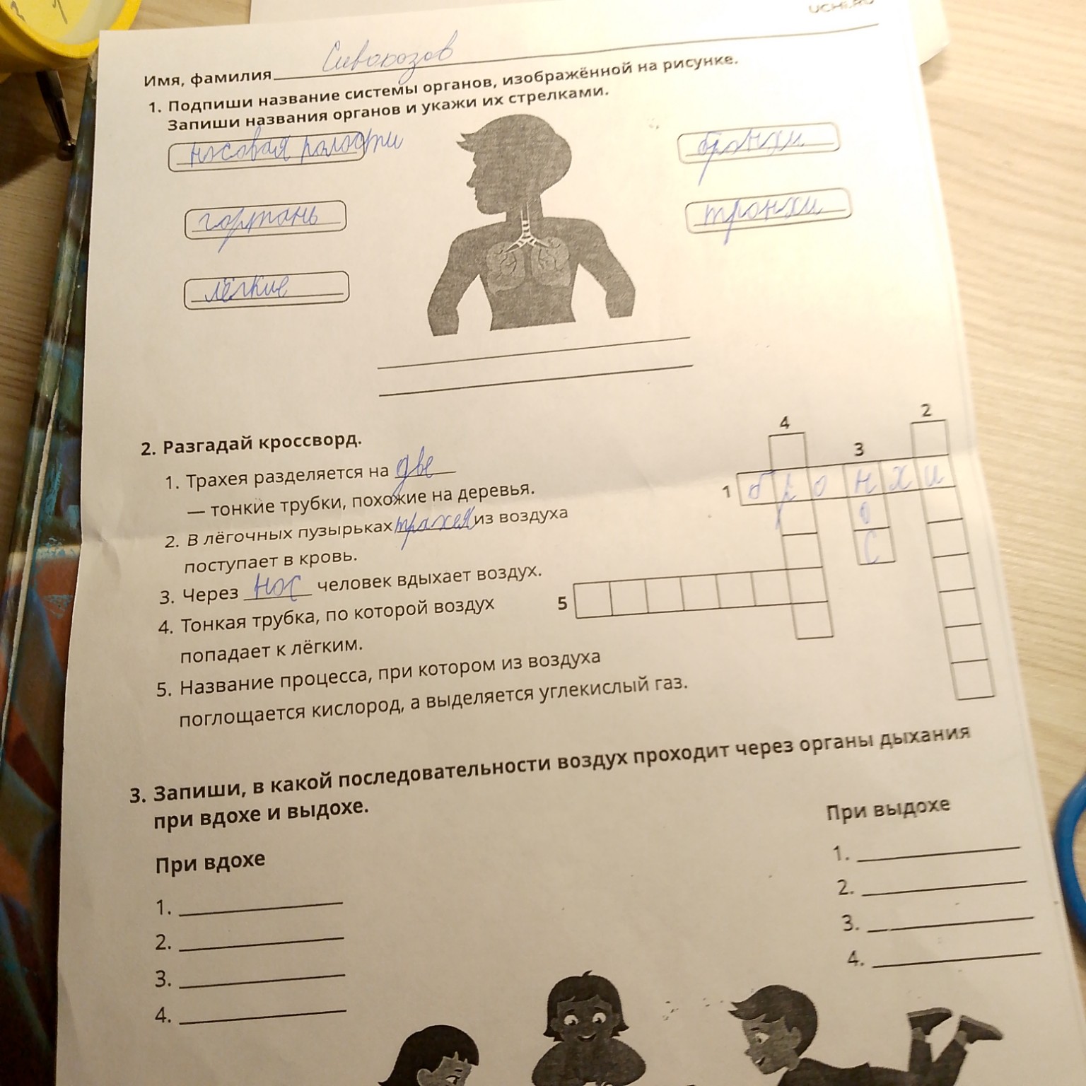 Изображение задачи: Помоги пожалуйста