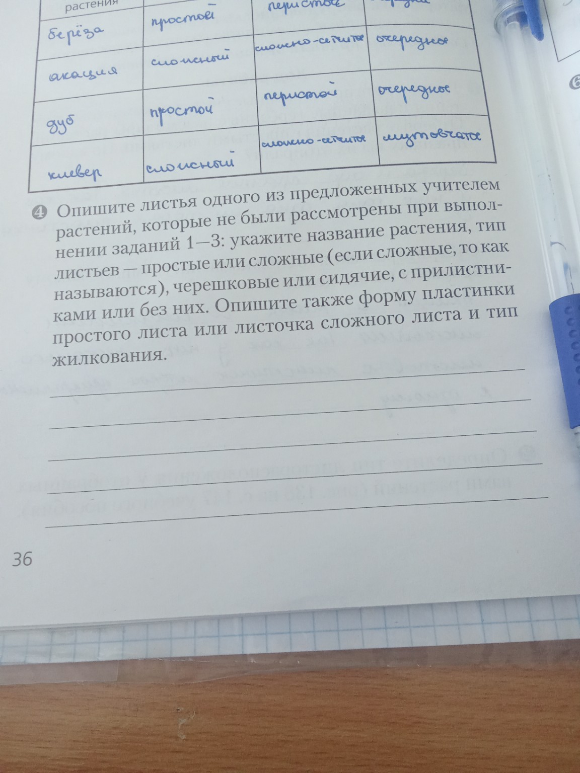 Изображение задачи: Сделай мне 4 задвание