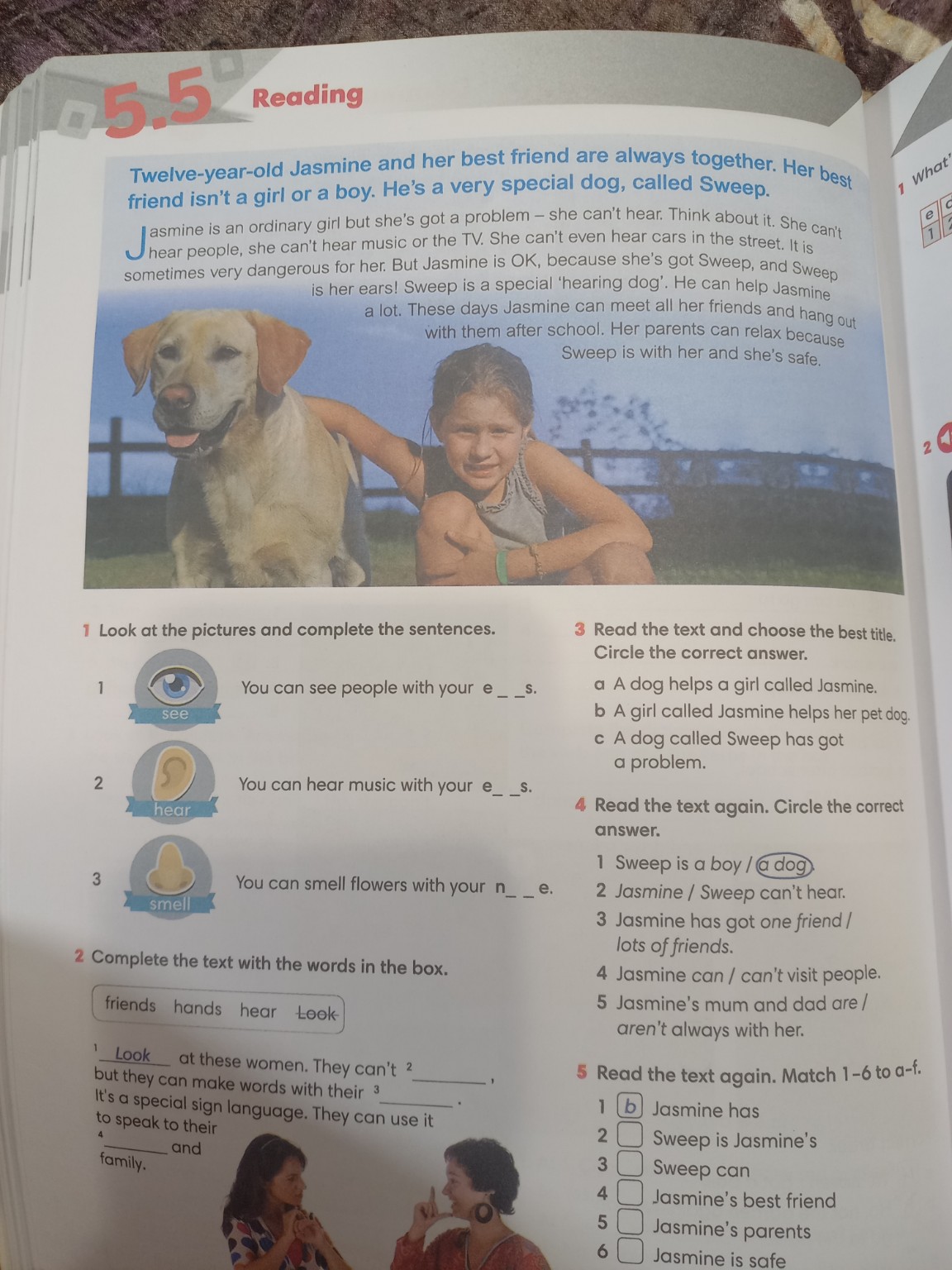 Изображение задачи: Выполнить задание №1,2,3,4 и перевести текст