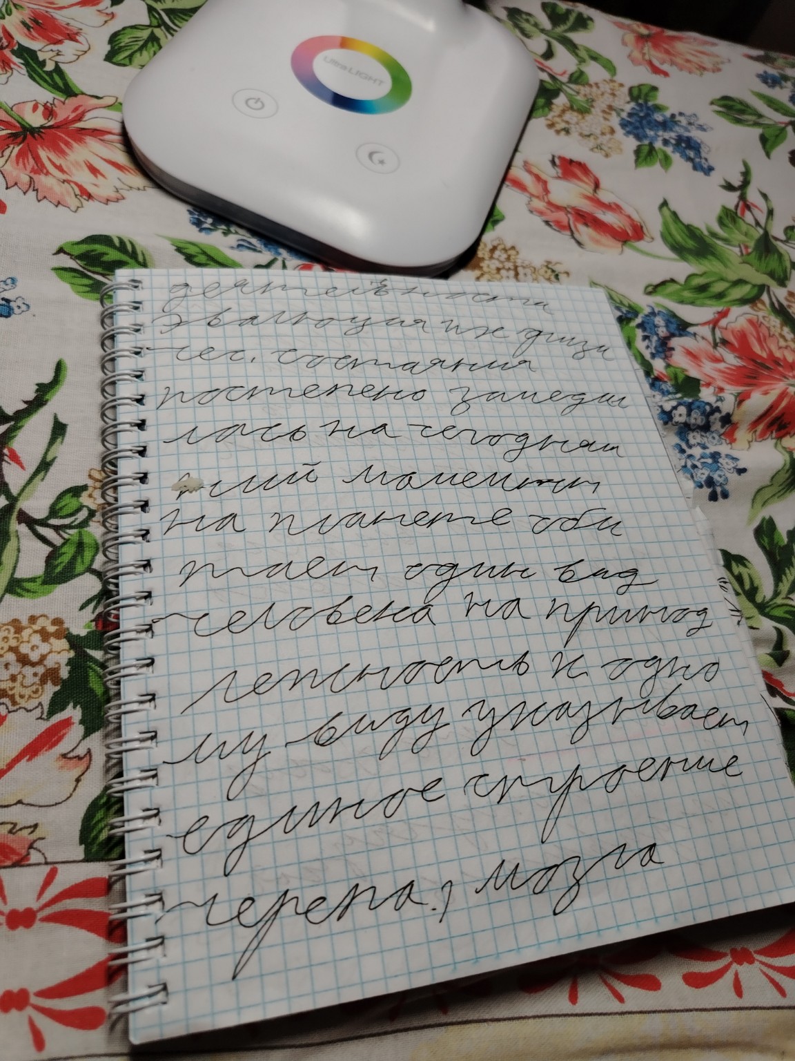 Изображение задачи: Напиши текст