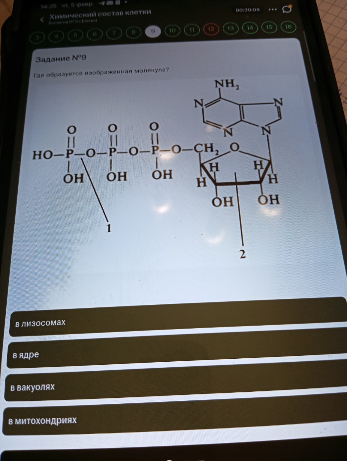 Изображение задачи: Ответить на вопрос