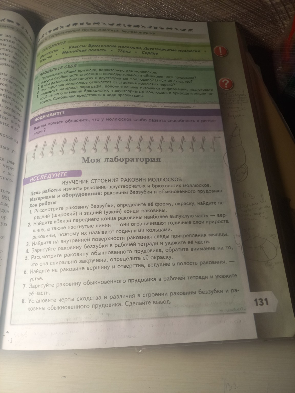 Изображение задачи: ГАПИСАТЬ НЕБОЛЬШОЙ ВЫВОД К РАБОТЕ 8 КЛАСС БИОЛОГИЯ