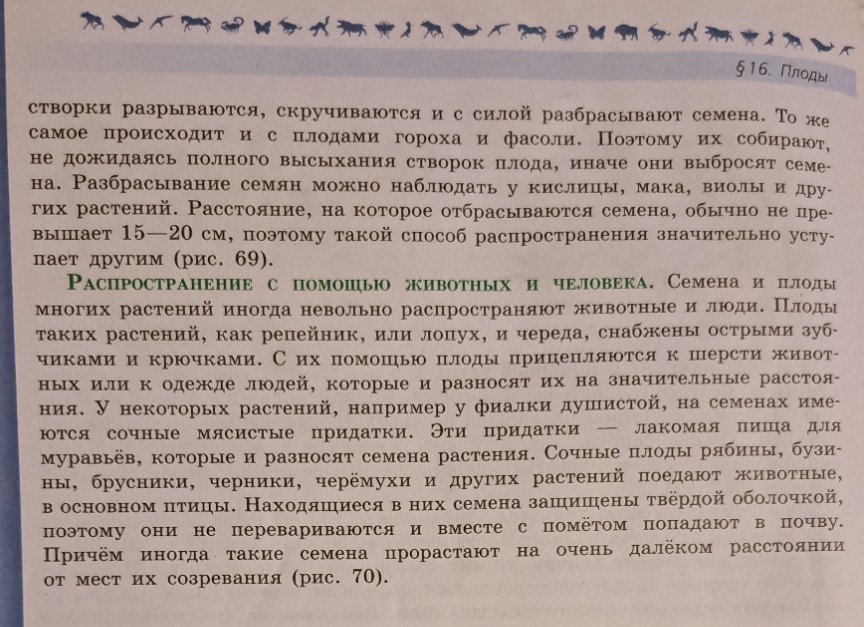 Изображение задачи: Заполнить таблицу :1 название плода
2. растения им