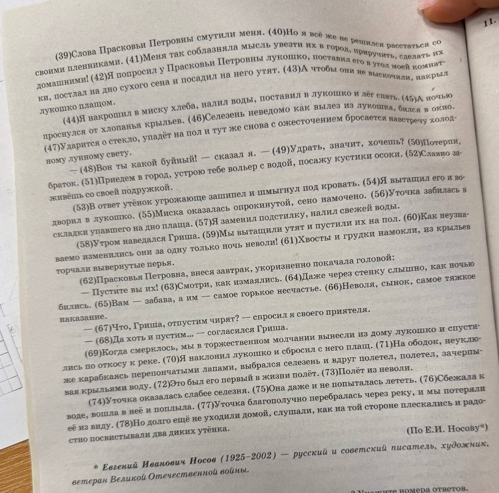 Изображение задачи: Реши задачу: Напиши сочинение на 4 обзаца.
1. Всту